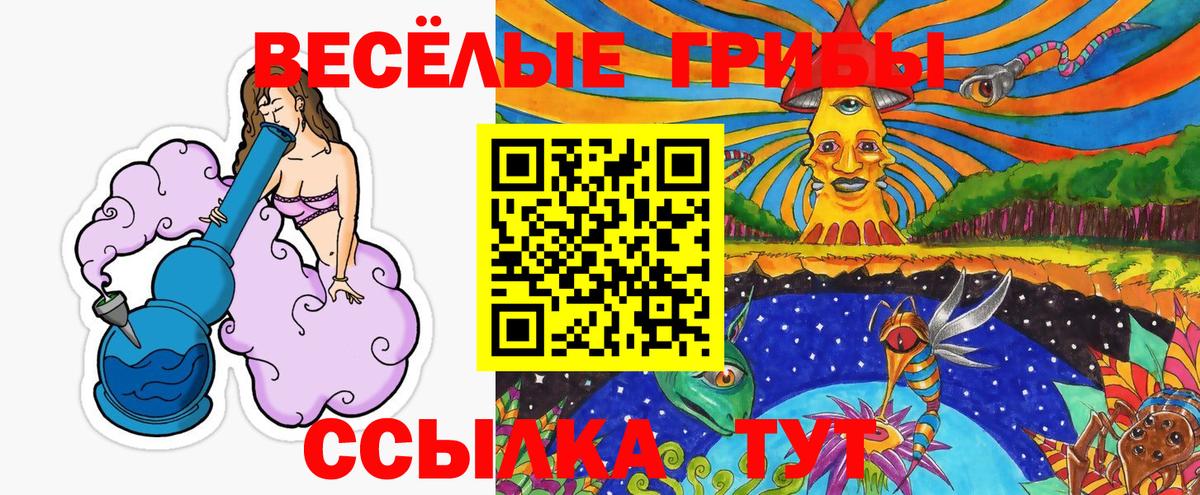 Псилоцибиновые грибы Psilocybe Каменск-Уральский