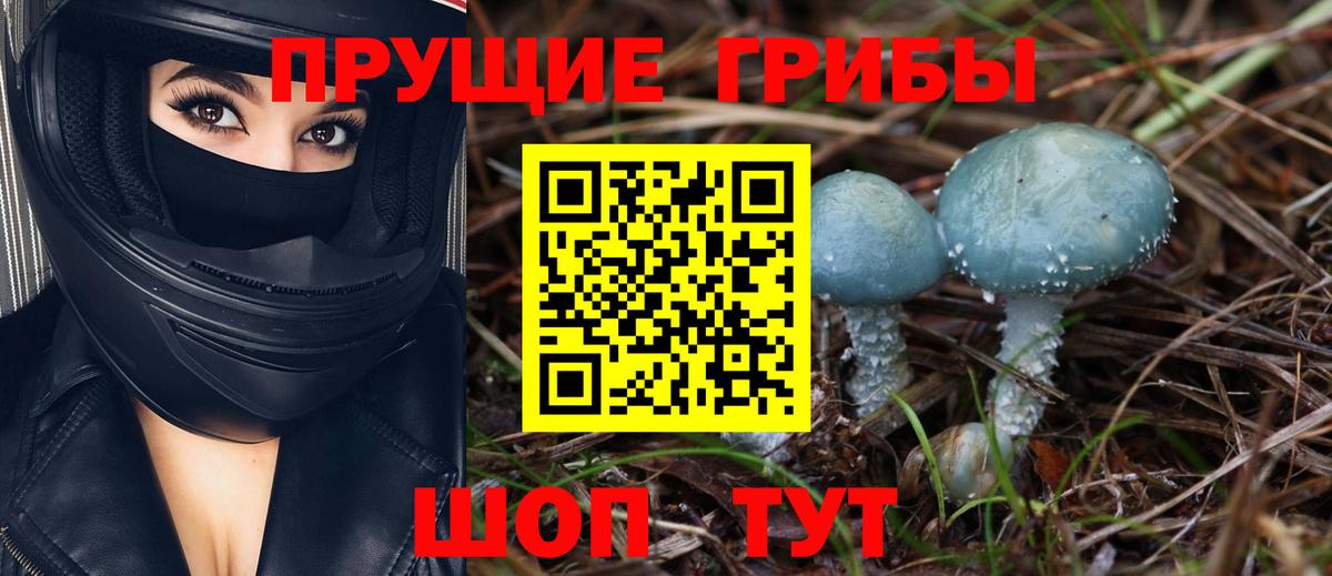 Галлюциногенные грибы GOLDEN TEACHER  дарнет шоп  Каменск-Уральский  Вход с VPN 